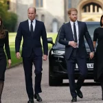 Prince Harry and Meghan Show Support for Kate Middleton
