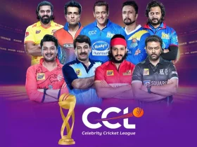 CCL Live Score: Karnataka Bulldozers vs Bengal Tigers 