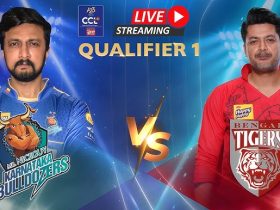 CCL Live Streaming: Where to watch Karnataka Bulldozers vs Bengal Tigers Celebrity Cricket League Qualifier?