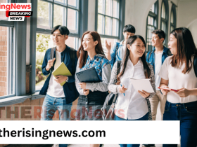IIST 2024 BTech Rank List Out at admission.iist.ac.in; Counseling Schedule Announced