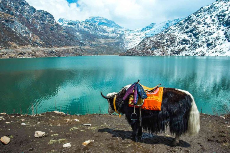 Sikkim Indo-China Border Road Crumbling: Urgent Repairs Needed, Residents Charging for Rescues