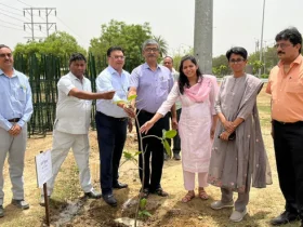 Noida Green Revolution: 2.25 Lakh Saplings Planted Under 'Ek Ped Maa Ke Naam' Campaign