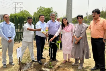 Noida Green Revolution: 2.25 Lakh Saplings Planted Under 'Ek Ped Maa Ke Naam' Campaign