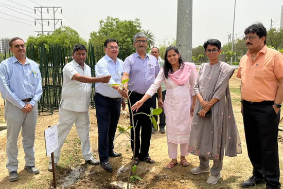 Noida Green Revolution: 2.25 Lakh Saplings Planted Under 'Ek Ped Maa Ke Naam' Campaign