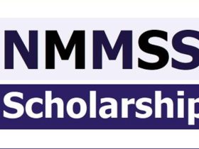 NMMSS 2024-25 Applications Open: Get Rs. 12,000 Scholarship Annually - Apply by August 31 @scholarships.gov.in