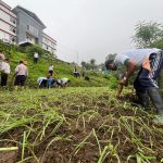 Sikkim Orchids Transform Kashmir: Pioneering Workshop Introduces 400 Cymbidium Plants, Revolutionizing Valley's Floriculture