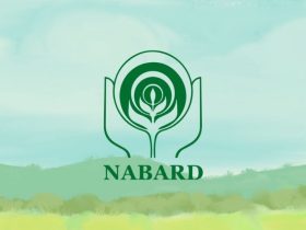 NABARD Recruitment 2024: Grade 'A' (RDBS) Apply for 102 Assistant Manager Positions Now @nabard.org