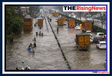 Noida Waterlogging After Heavy Rain Paralyzes Traffic, Exposes Infrastructure Failures