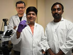 IIT Guwahati Researchers Develop Microfluidic System to Boost Crop Yields by Optimizing Root Nutrient Absorption