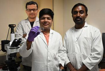 IIT Guwahati Researchers Develop Microfluidic System to Boost Crop Yields by Optimizing Root Nutrient Absorption