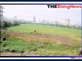 Greater Noida West Land Scam: Widespread Illegal Colonies, NGT Demands Immediate Action from Authorities