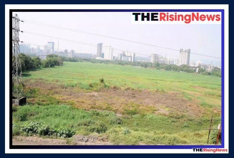 Greater Noida West Land Scam: Widespread Illegal Colonies, NGT Demands Immediate Action from Authorities